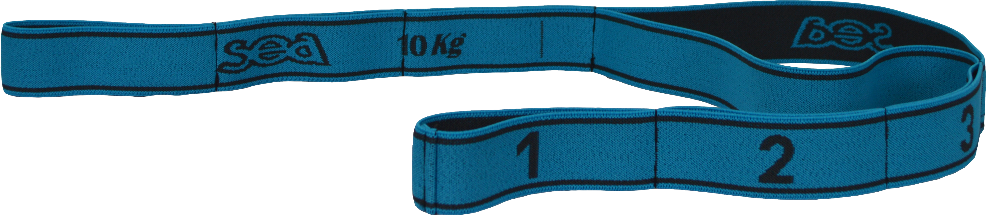 Bande élastique fitness force 10 Turquoise/Anthra SEA