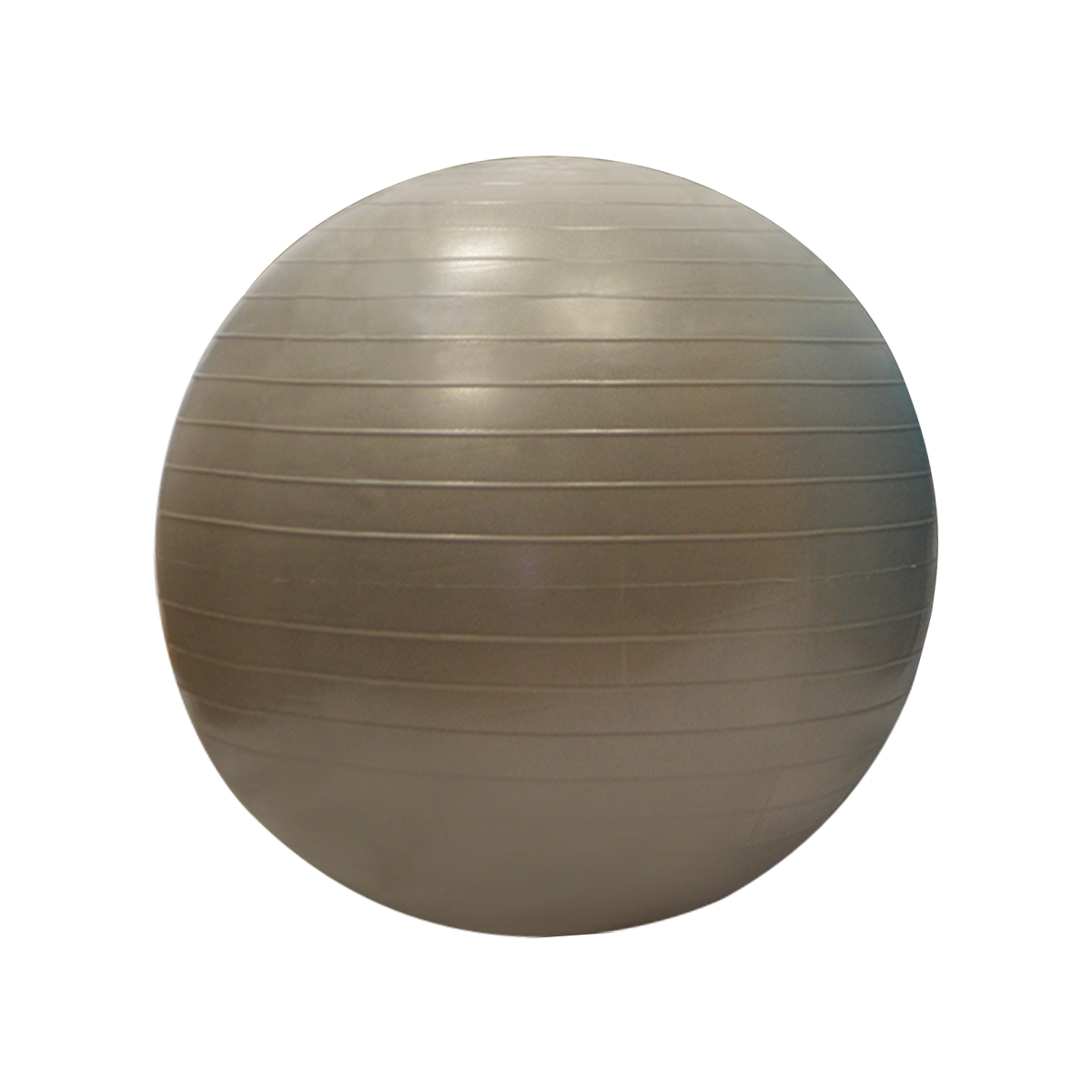 Gymball / Balle gymnique 55cm