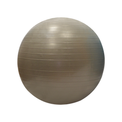 Gymball / Balle gymnique 55cm