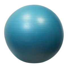 Gymball / Balle gymnique 65cm