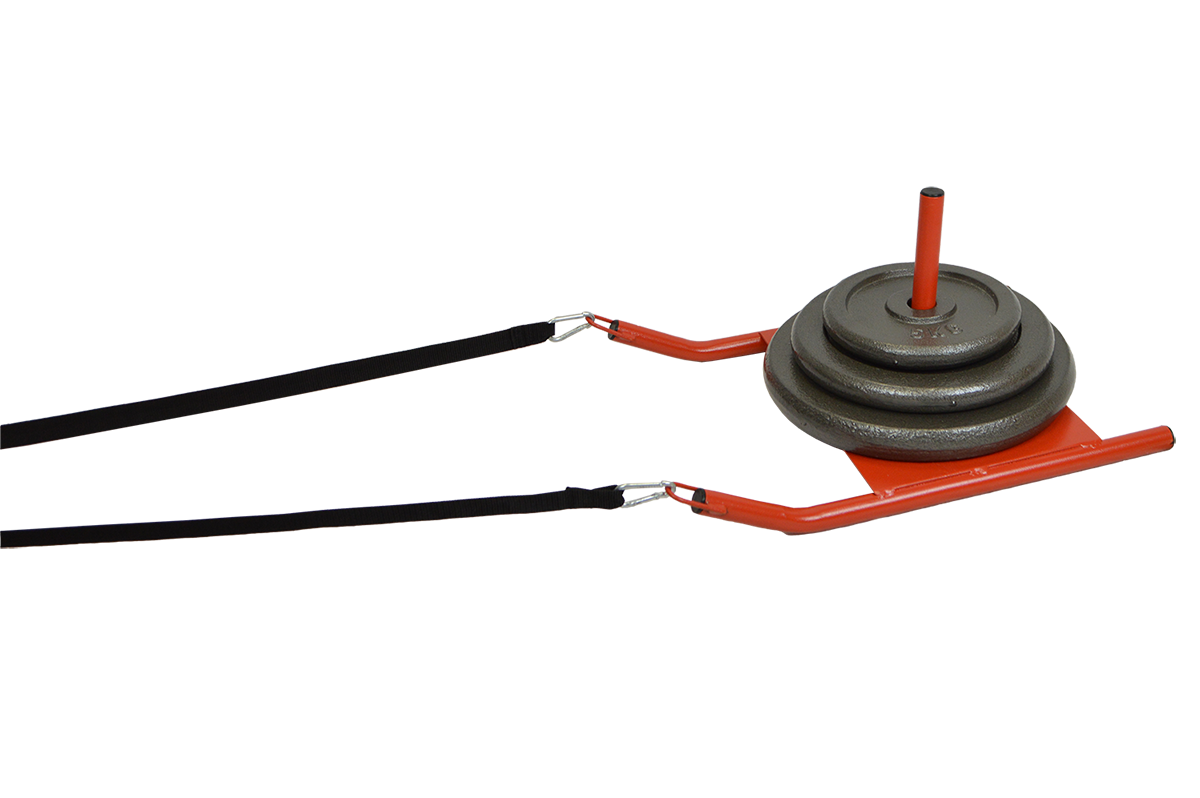 Sangle seule pour power Speed (réf 060063)