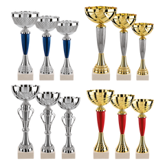 Lot de 12 coupes N°1