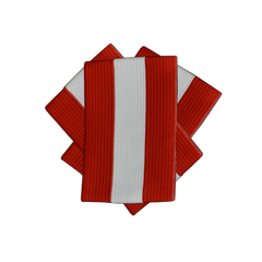 Lot de 3 brassards bicolores