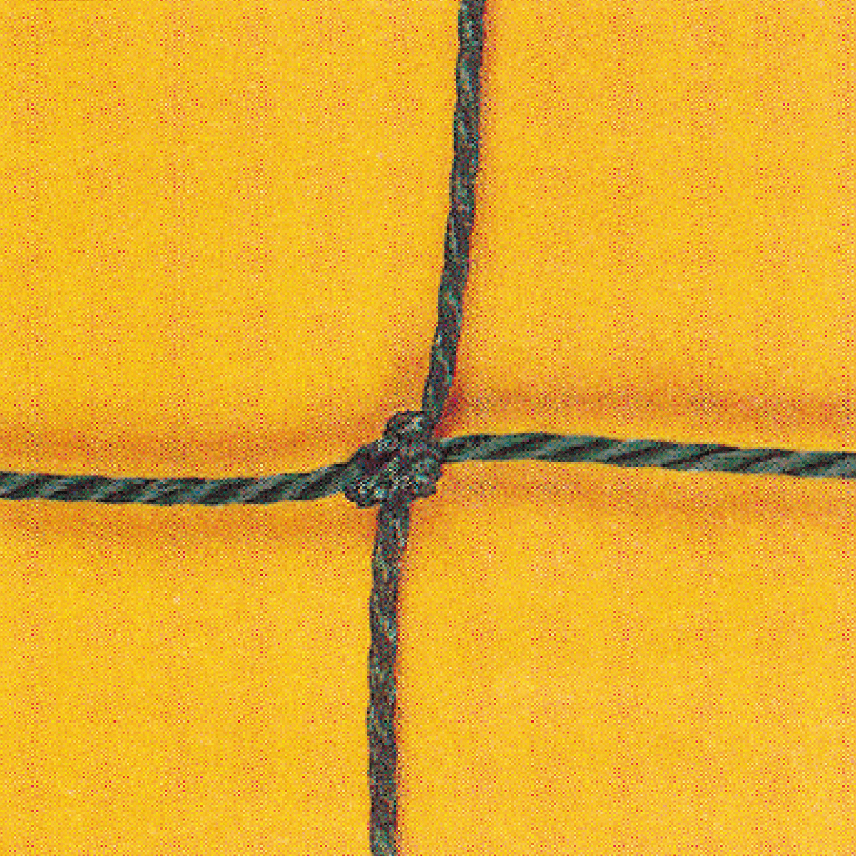 Filet pare-ballons de foot PE Câblé 2.5mm maille 145 le m²