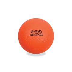 Ballon de hand 1ers pas SEA