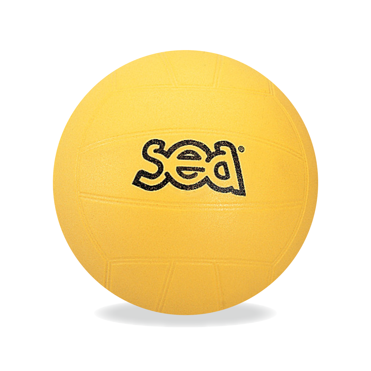 Ballon de volley initiation SEA