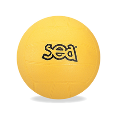Ballon de volley initiation SEA