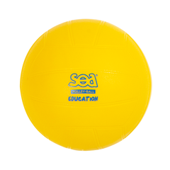Ballon de volley initiation SEA