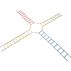 Echelle de vélocité en croix