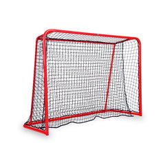 But de floorball – Modèle de compétition