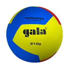 Gala Volleyball BV5556S, taille 5